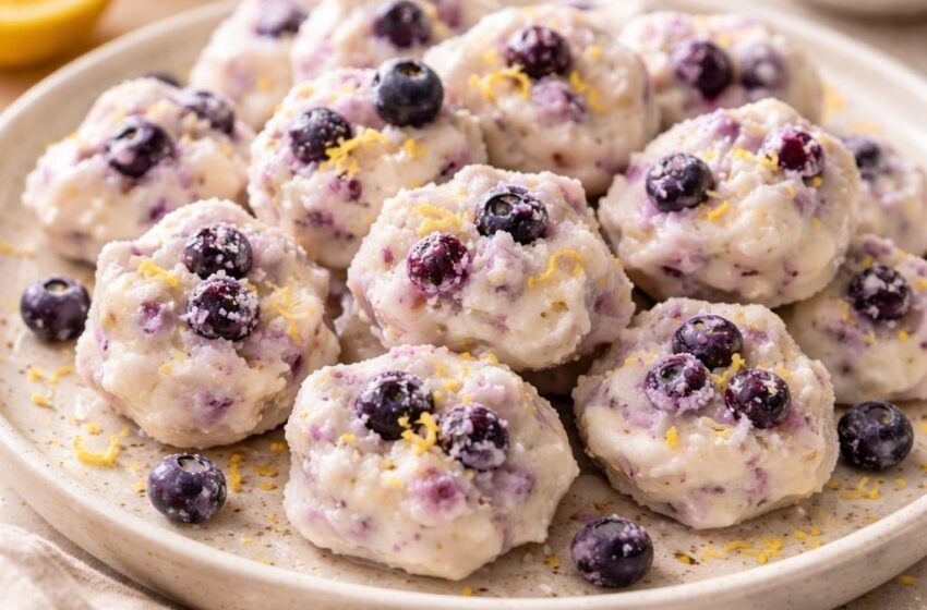 Lemon Blueberry Frozen Yogurt Bites