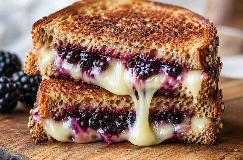 Brie and Blackberry Jam Grilled Cheese Sandwich