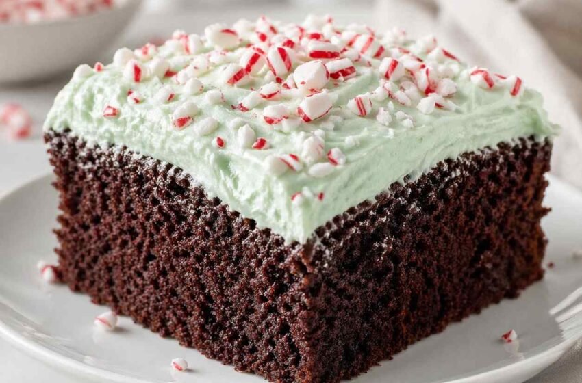 Chocolate Peppermint Cake