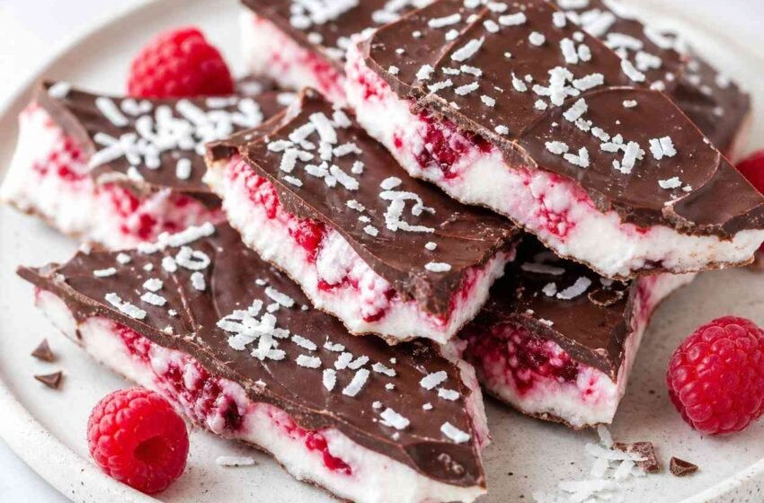 Raspberry Chocolate Coconut Yogurt Bark