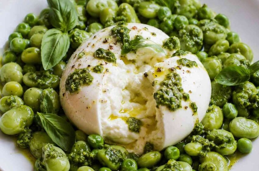 Creamy Burrata with Green Peas and Broad Beans